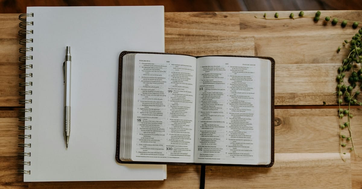 Featured image for “Speed Training”